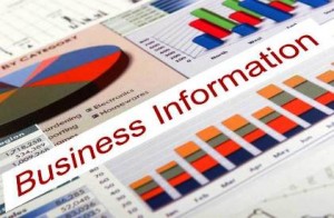 Business Info 300