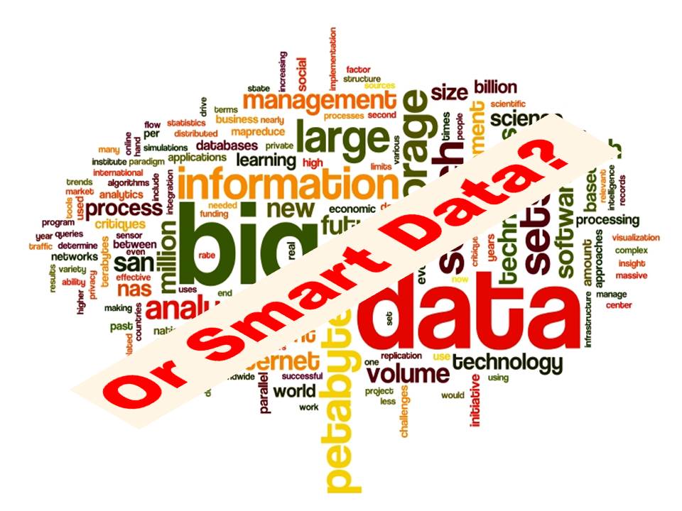 The Big Promises of Big Data – Will there be Deliverance or Alienation?