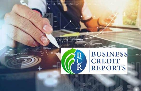 Business Credit Reports Delivers a Beginning-to-End Credit System for Small Businesses