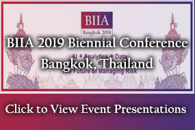 BIIA 2019 Conference Presentations