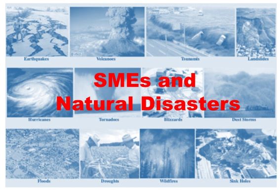 Business Insights:  How to Protect Your SME Business from a Natural Disaster