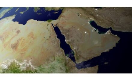 Degrees of Dysfunction – Free Zones in the Middle East & Africa