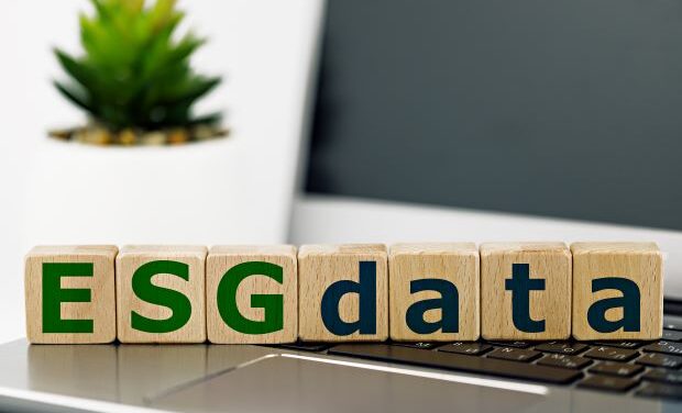 Novata: Increasing ESG Data Transparency in Private Markets