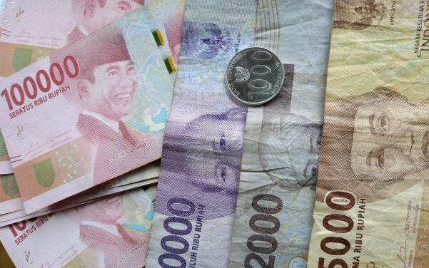 Country Risk Climate:  Indonesia Rides Out the Dollar Storm